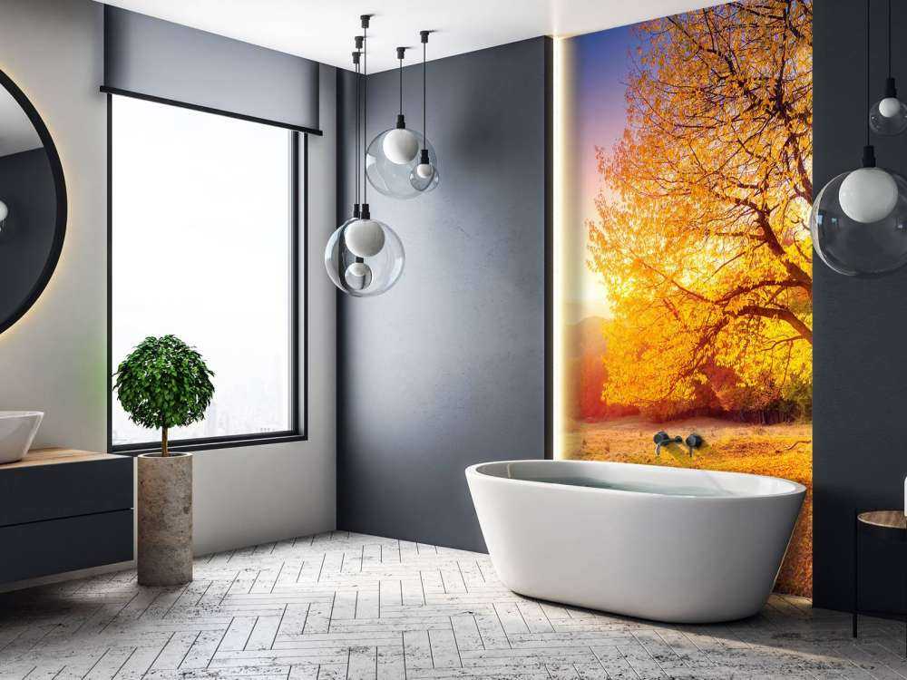 Prachtige beukenboom in de herfst