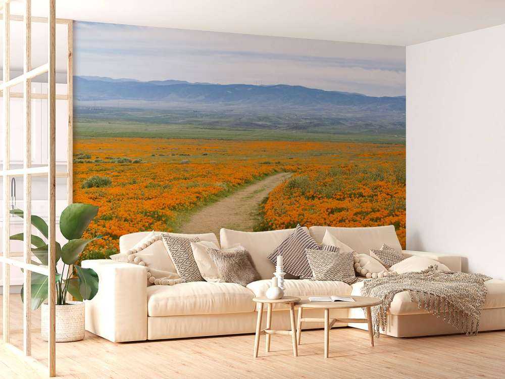 Oranje klaprozenveld in Californië