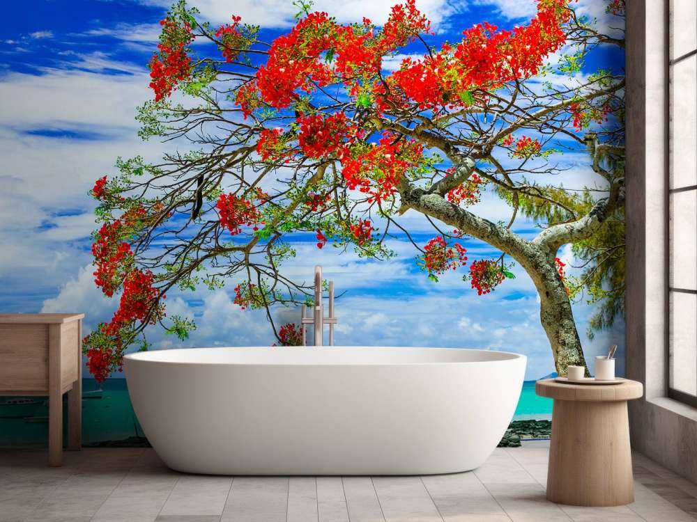 Rode flamboyant boom op het strand