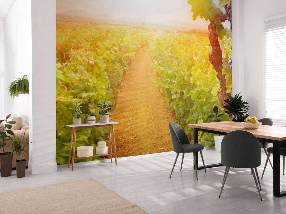 Wijngaard met druiven op de voorgrond