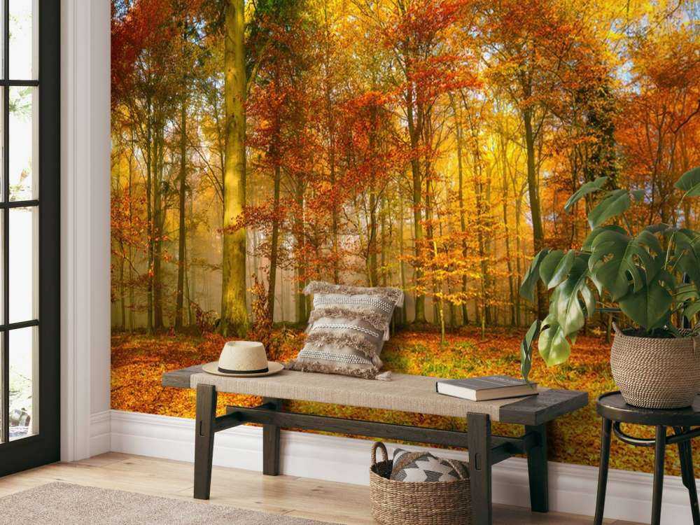 Kleurrijk bospanorama