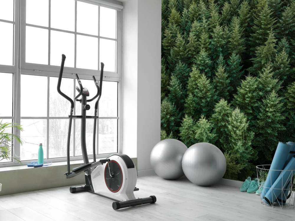 Douglassparren van boven