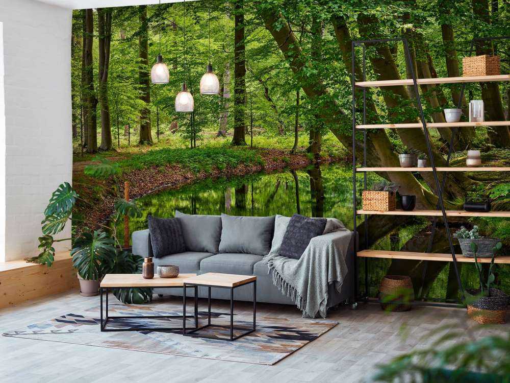 Gebogen bomen aan het water