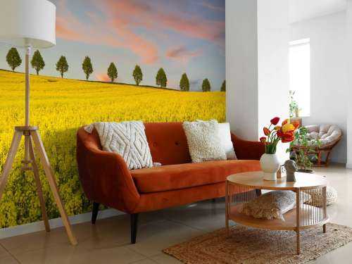 Veld vol gele bloemen