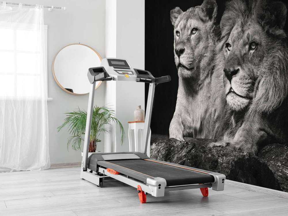 Leeuw & Leeuwin Zwart-Wit