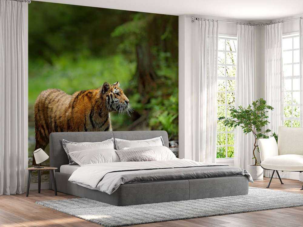 Tijger in Russische natuur