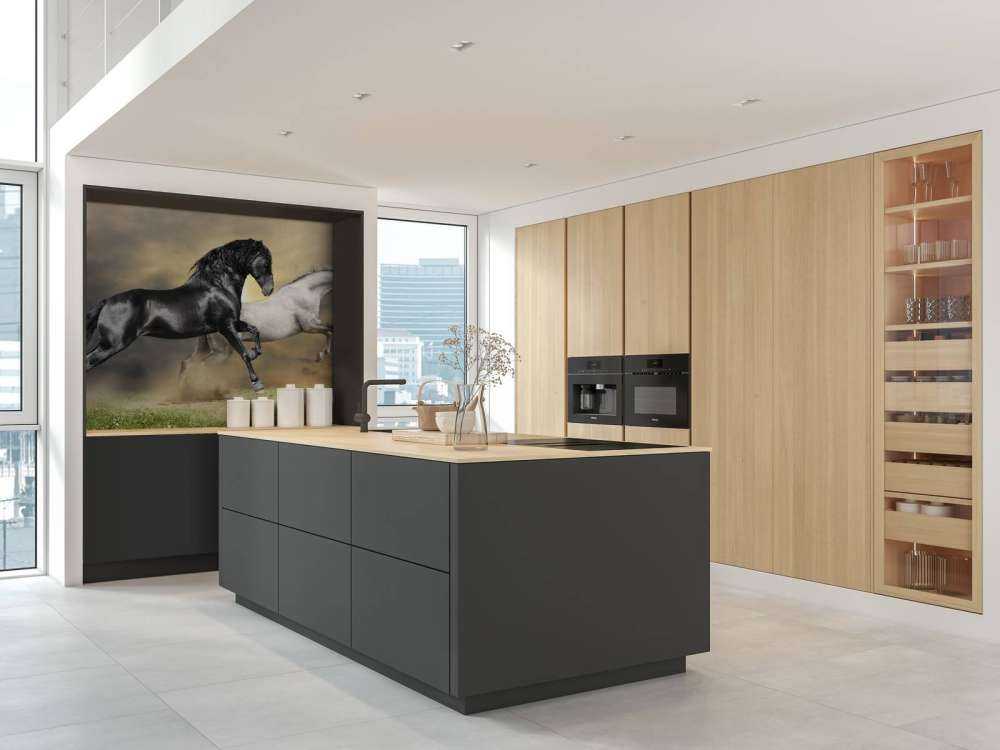 Zwart & Wit Paard op Gras