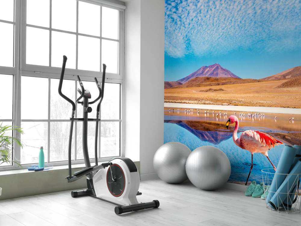 Flamingo's bij een meer