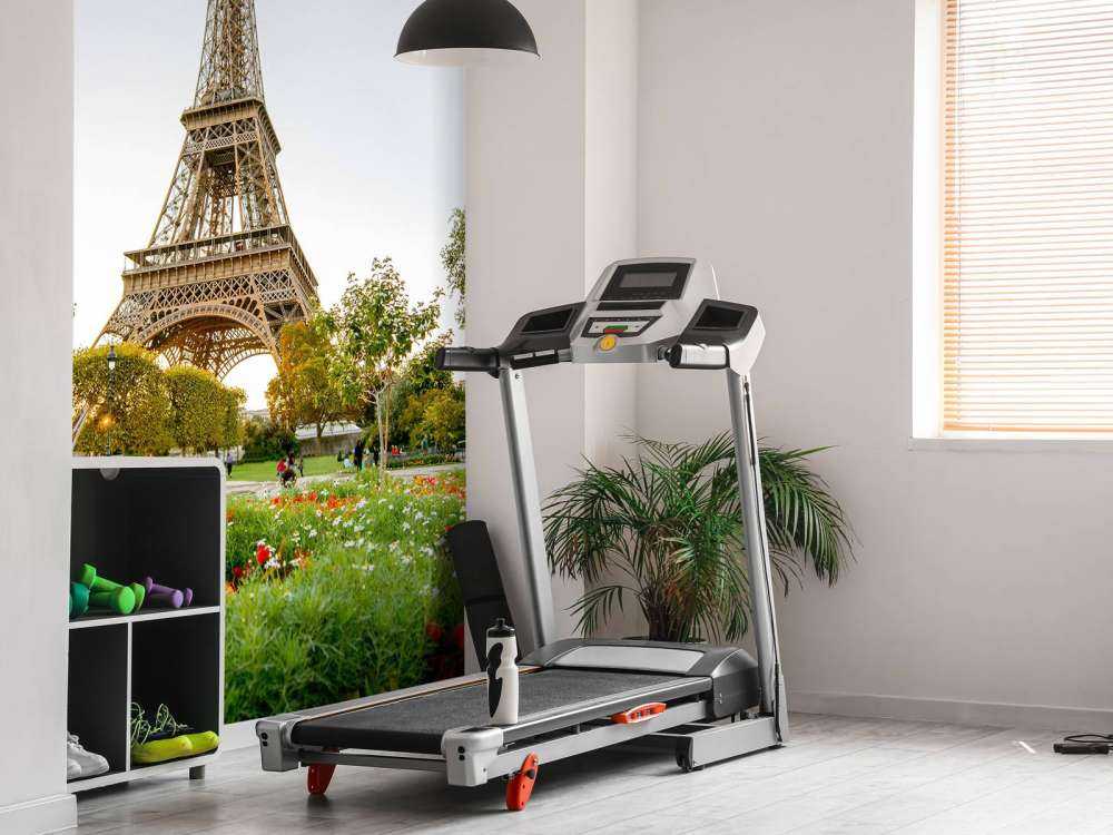 De Eiffeltoren vanuit het park