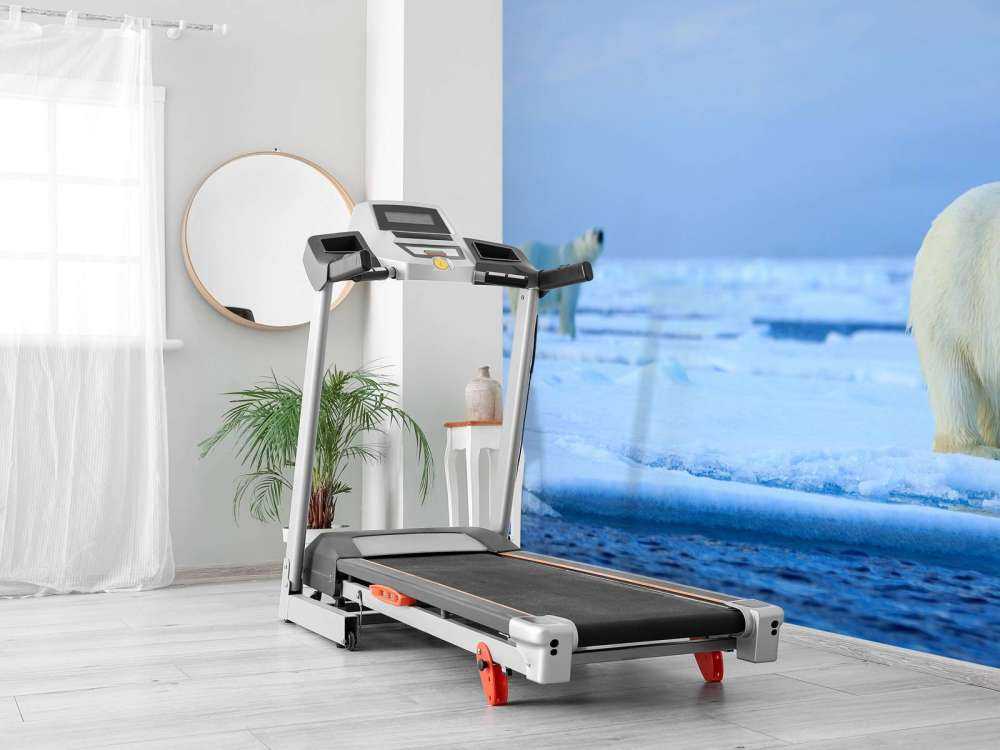 IJsberen op drijfijs