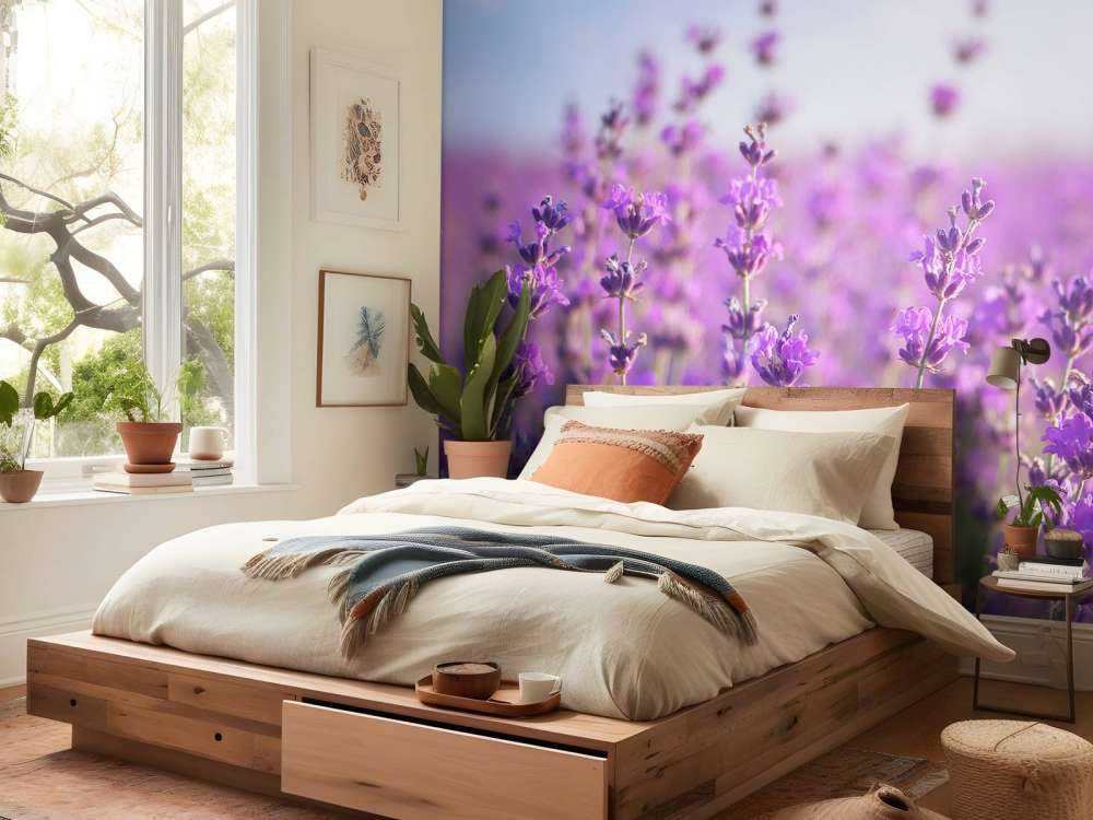 Close-Up van Lavendel