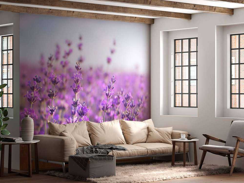 Close-Up van Lavendel