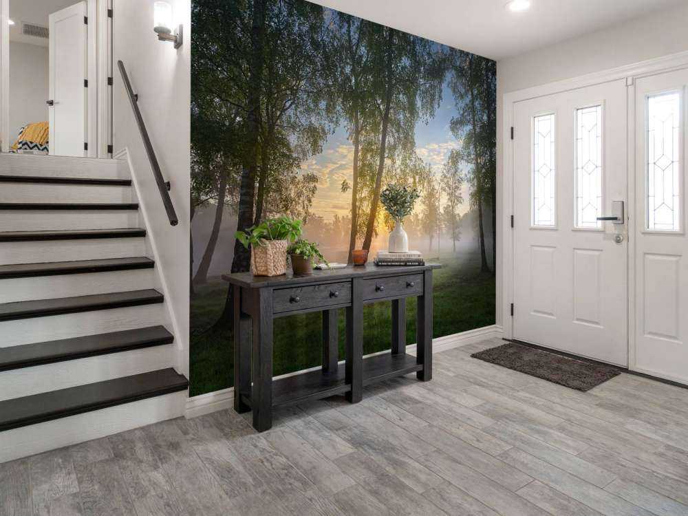 Zonsopgang bij de berken