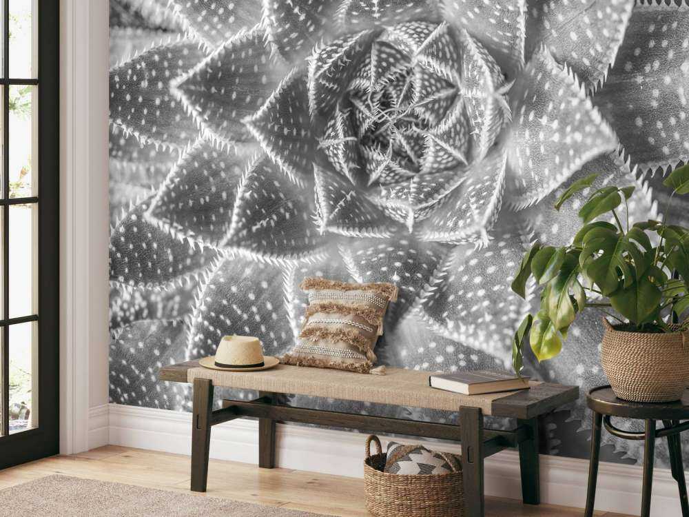 Close-up vetplant in zwart-wit