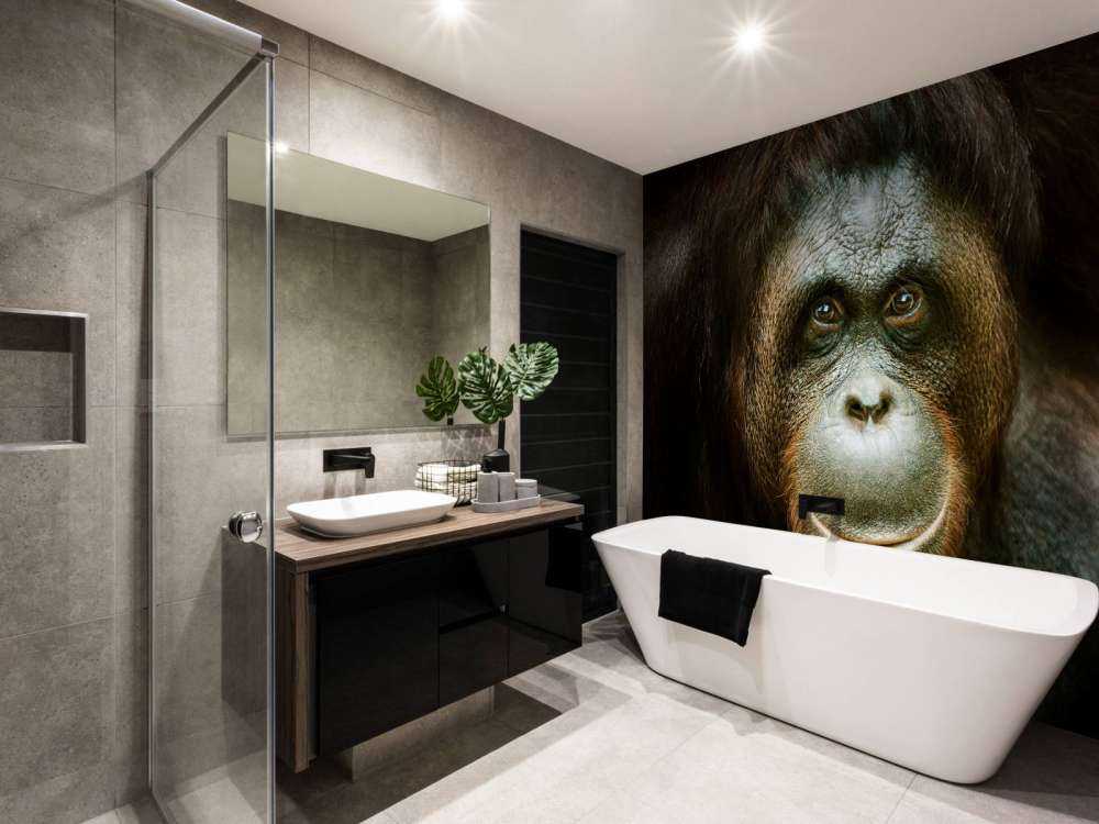 Orang-oetan met een zwarte achtergrond