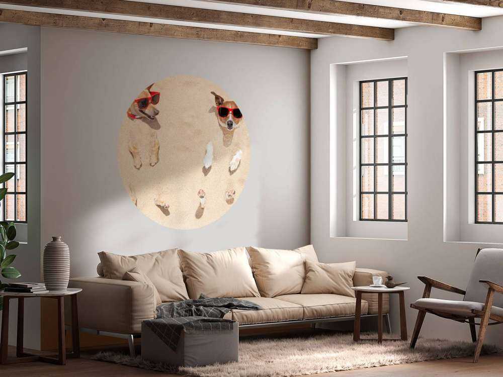 Ingegraven honden op het strand