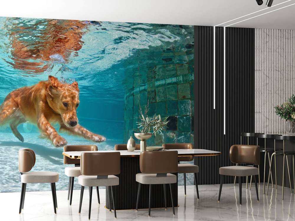 Labrador speelt onderwater