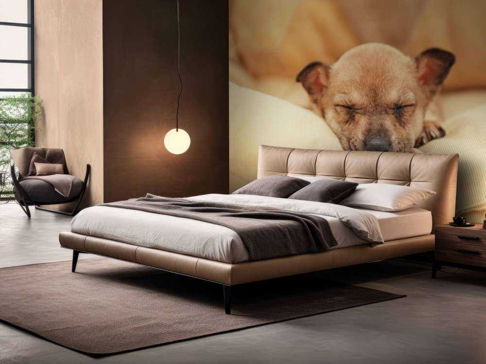 Kleine puppy slaapt op een kussen