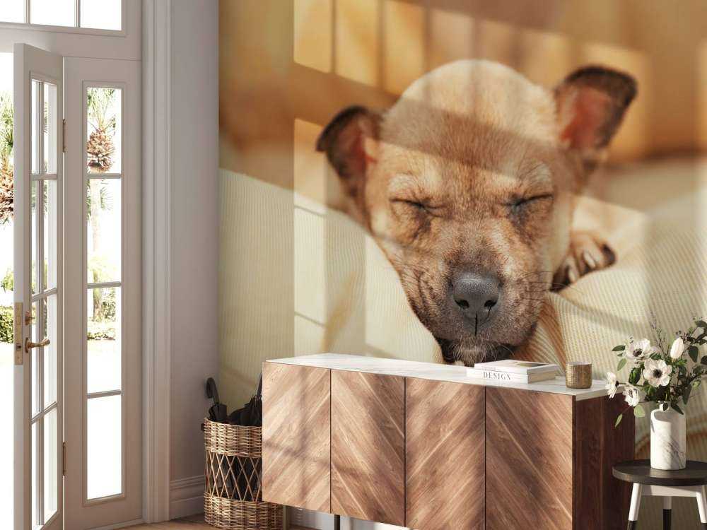 Kleine puppy slaapt op een kussen