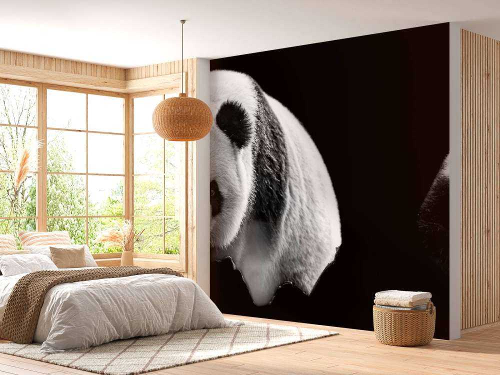 Panda's met een zwarte achtergrond