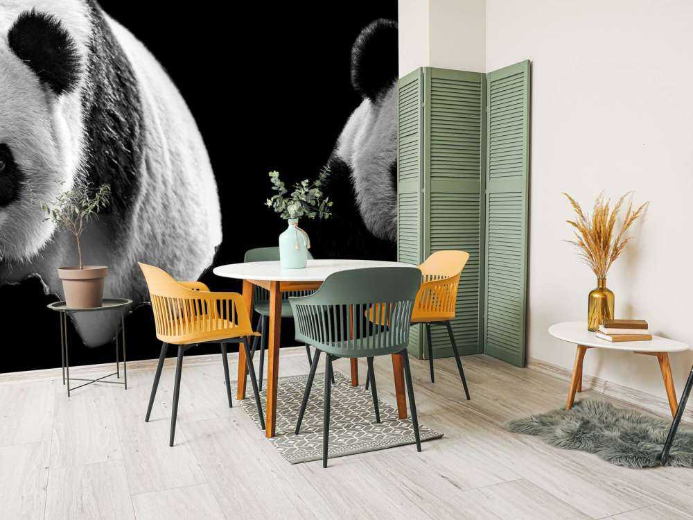 Panda's met een zwarte achtergrond