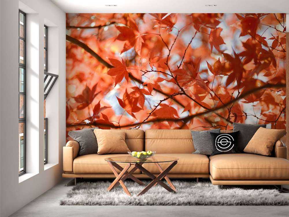 Kleurrijke herfstbladeren