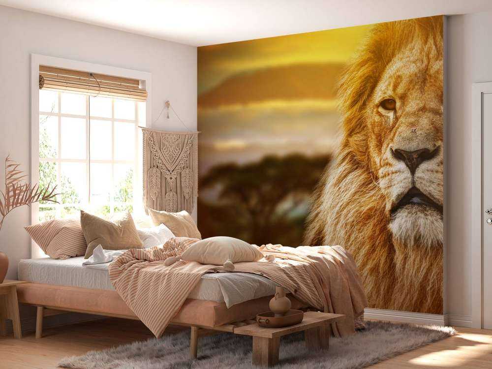 Leeuw in een savanne landschap