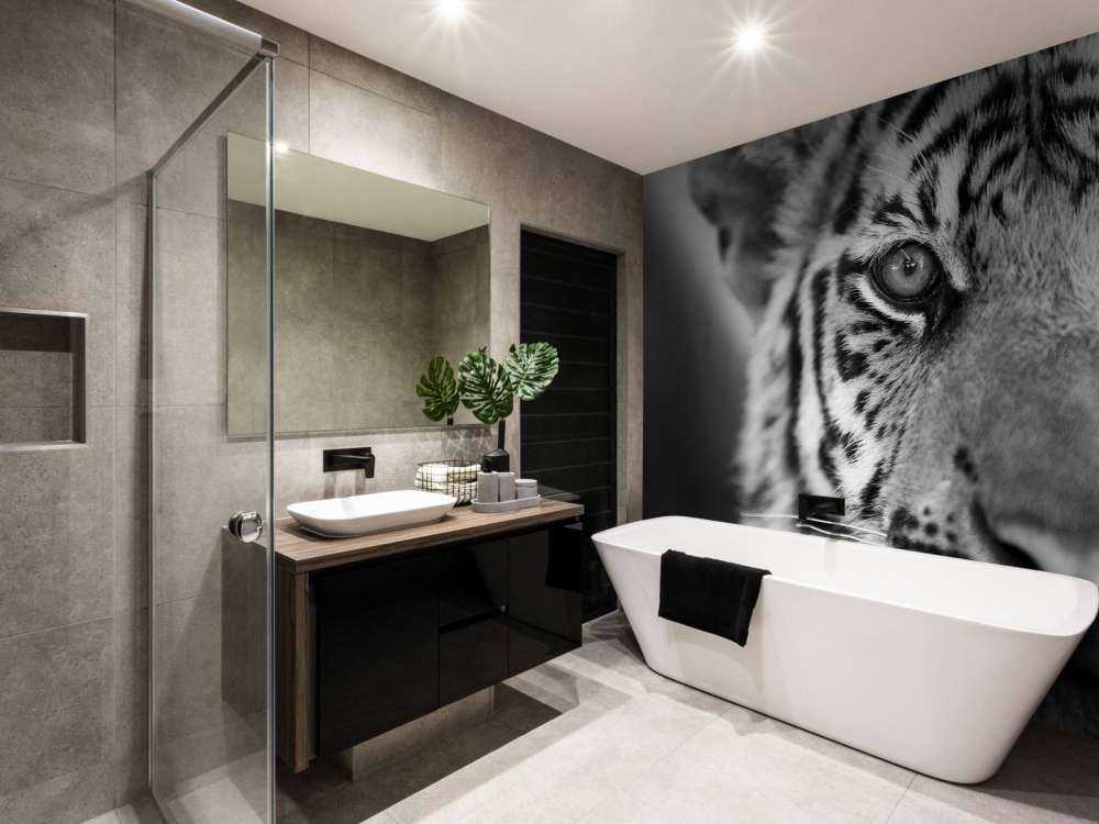 Mooie tijger in zwart-wit