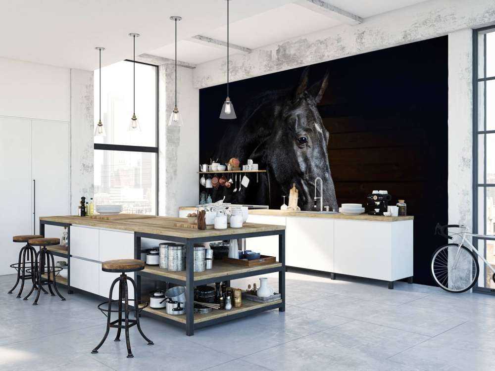 Paard met een donkere achtergrond