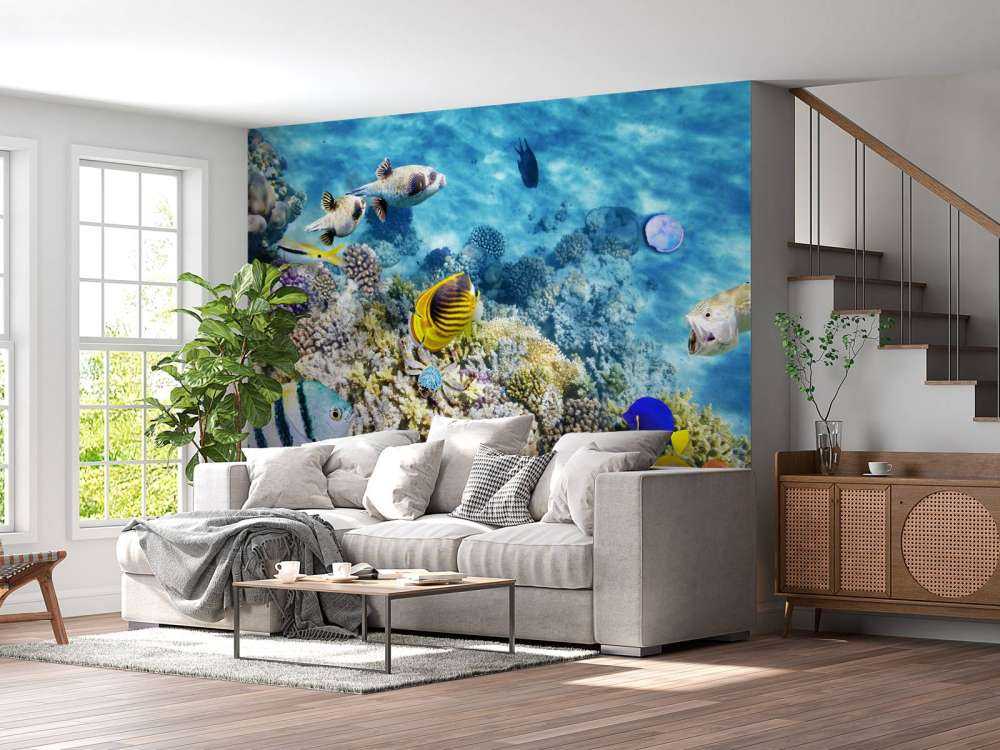 Exotische vissen en koralen