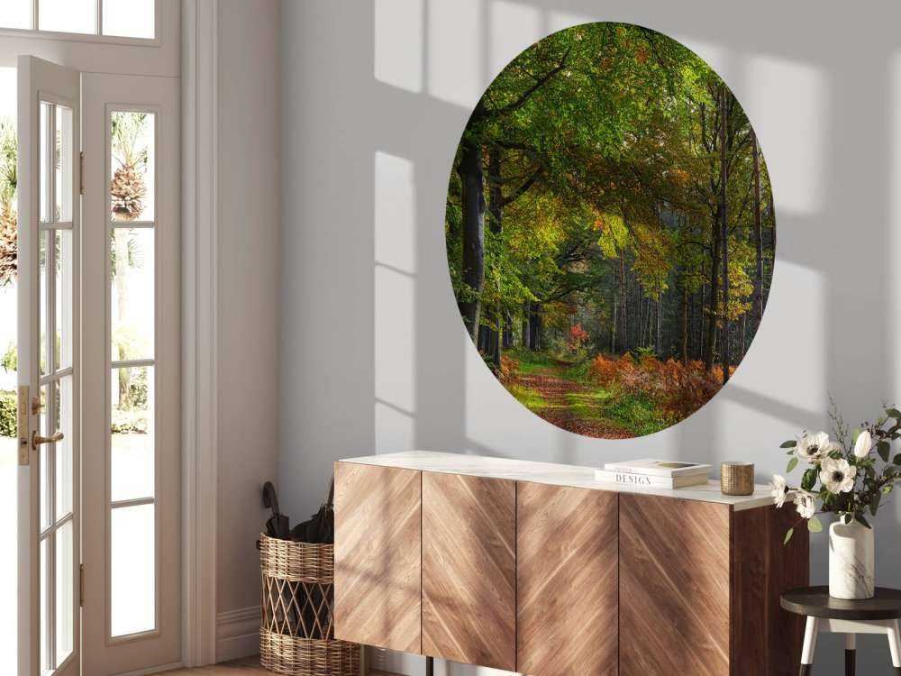 Pad met blaadjes door het bos