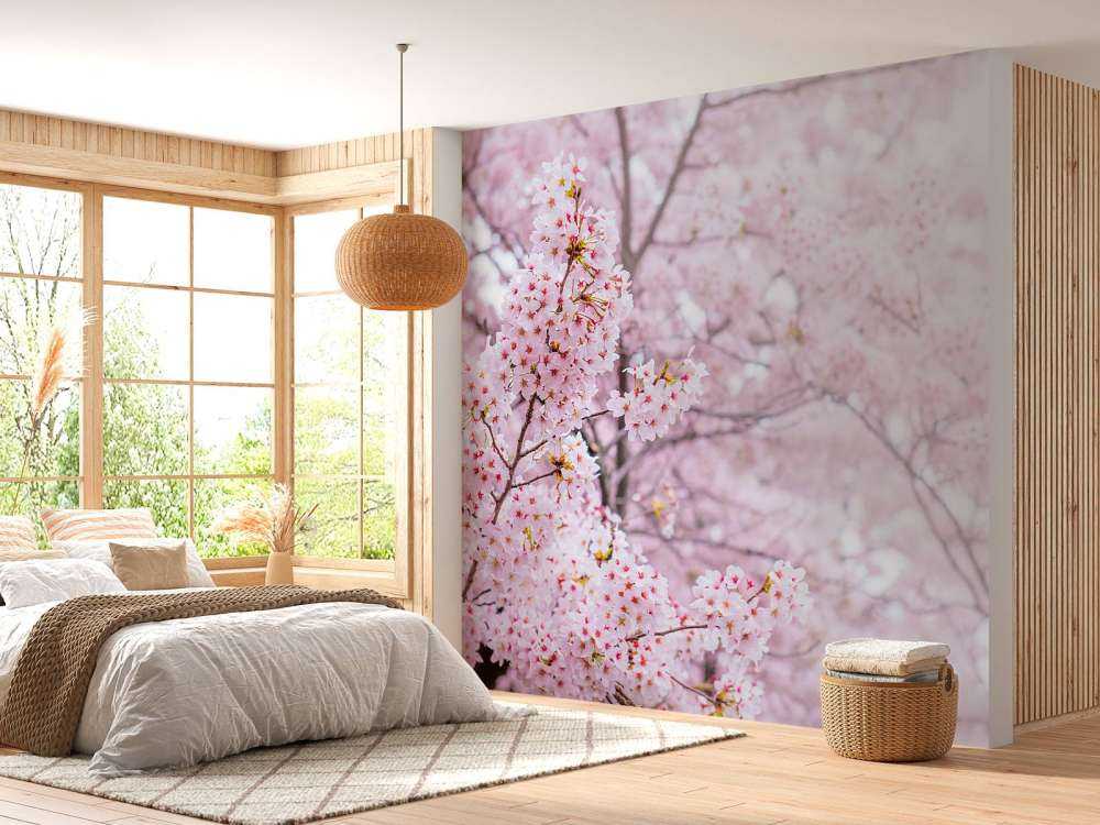 Lichte Bloesem in Korea