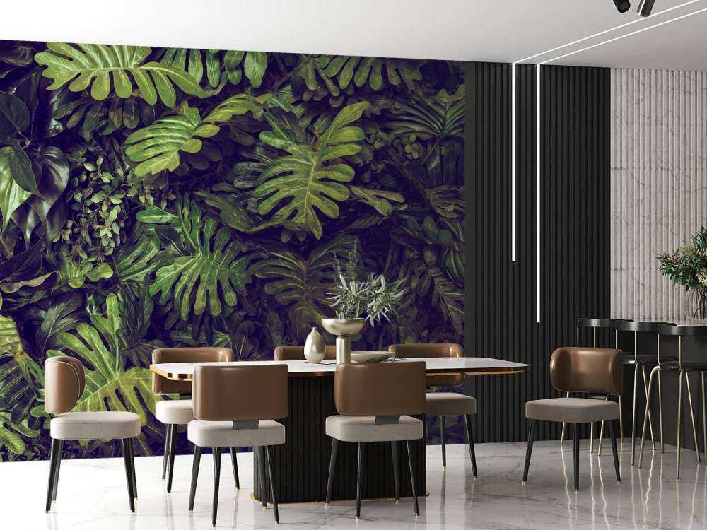 Groene Monstera Bladeren