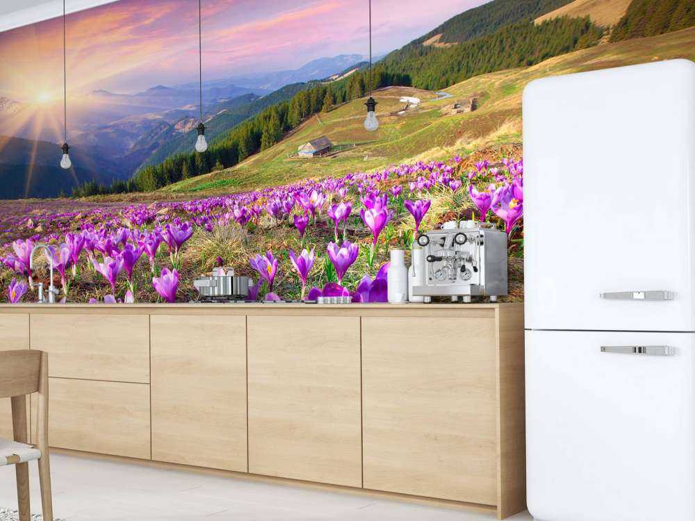 Bloemenveld van krokussen in de bergen