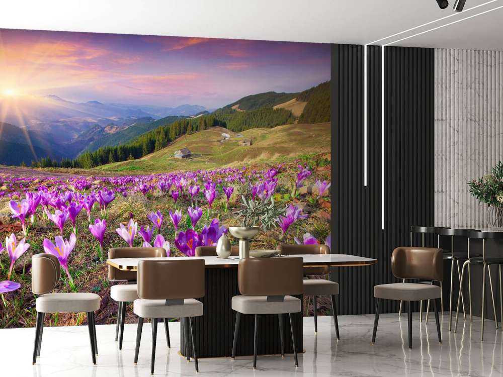 Bloemenveld van krokussen in de bergen