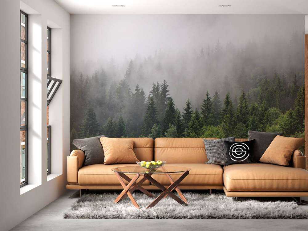 Bovenaanzicht van een mistig bos