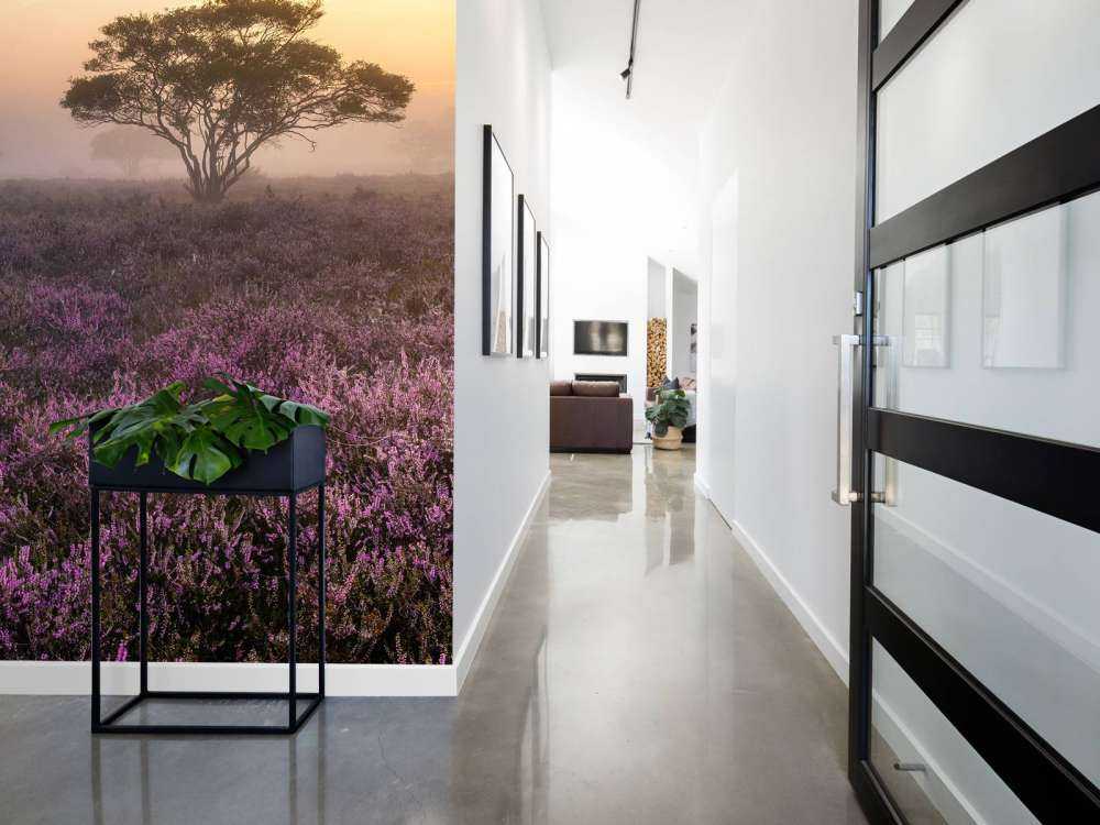 De Veluwe in de vroege ochtend