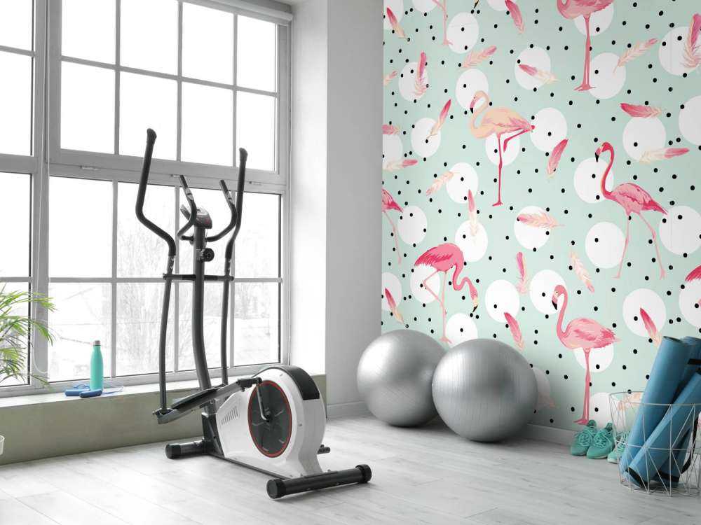 Flamingo's en veren