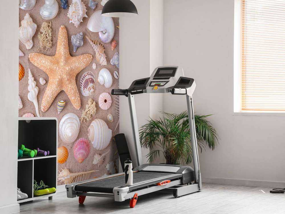 Full frame of collection of seashells