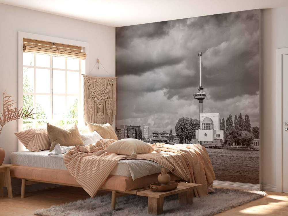 Euromast en Maas in Monochroom