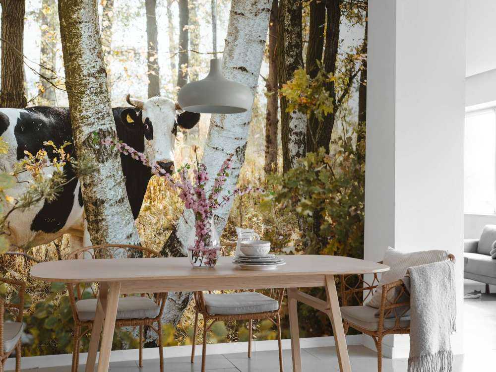 Nieuwsgierige Koe in het Woud