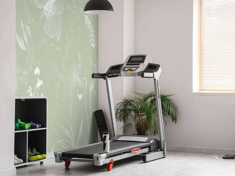 The softness of heart - olive