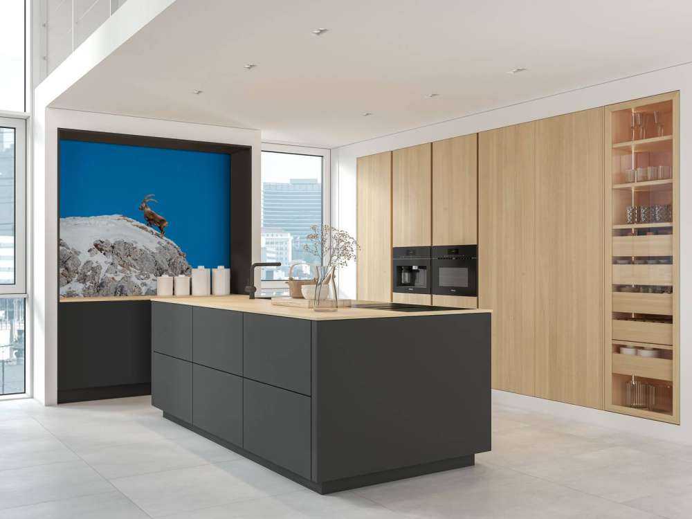 Steenbok op besneeuwde rotspiek