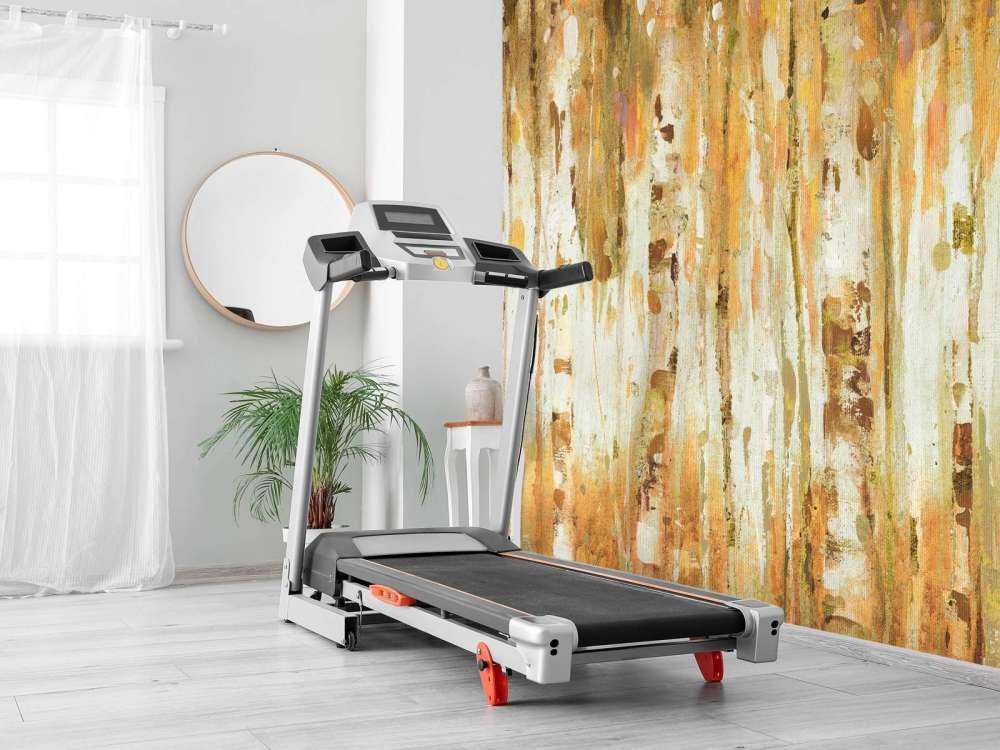 The Forest I Fall Crop