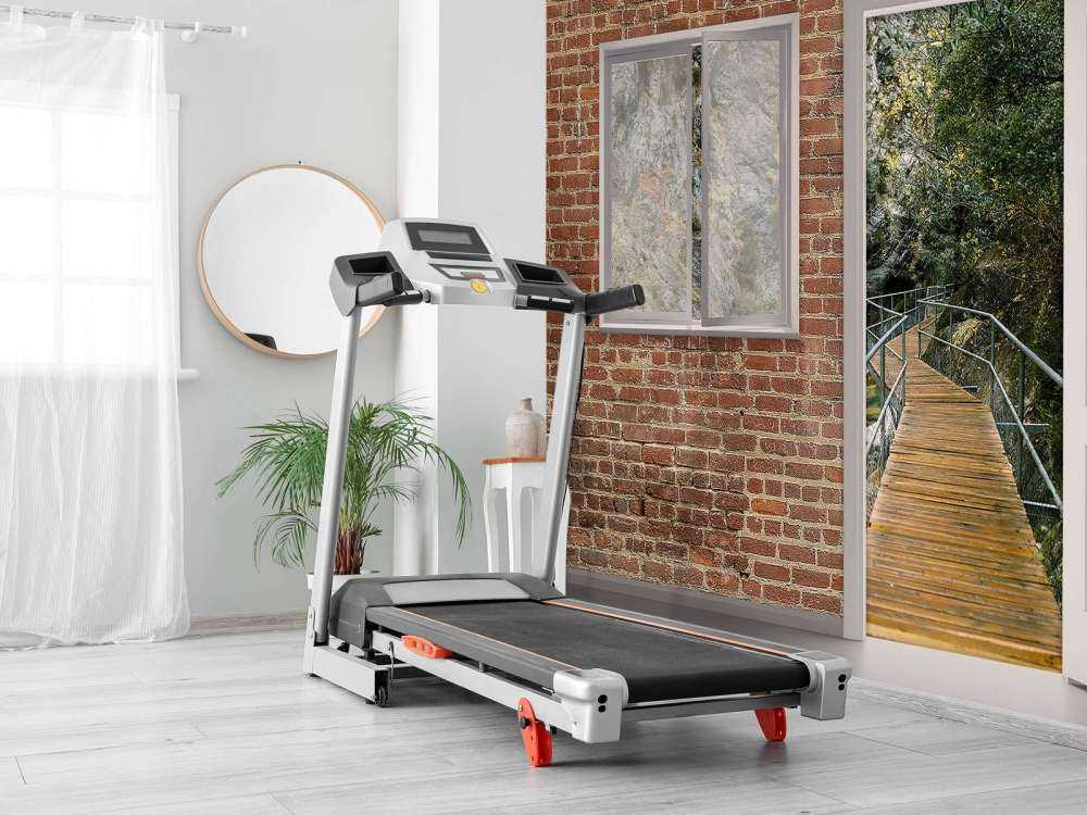 Bosbrug tussen rots en groen