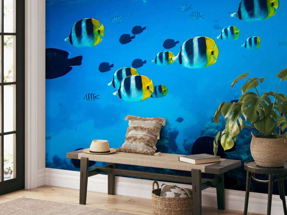 Tropische rifvissen in helderblauw water