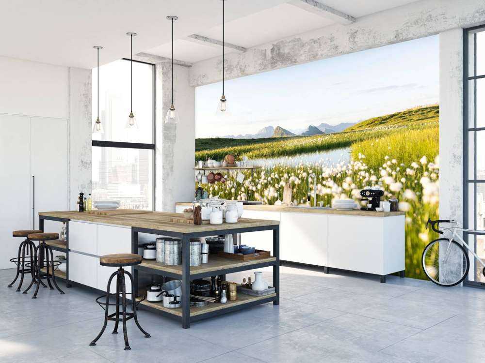 Zomerlicht over bloemrijk veenlandschap