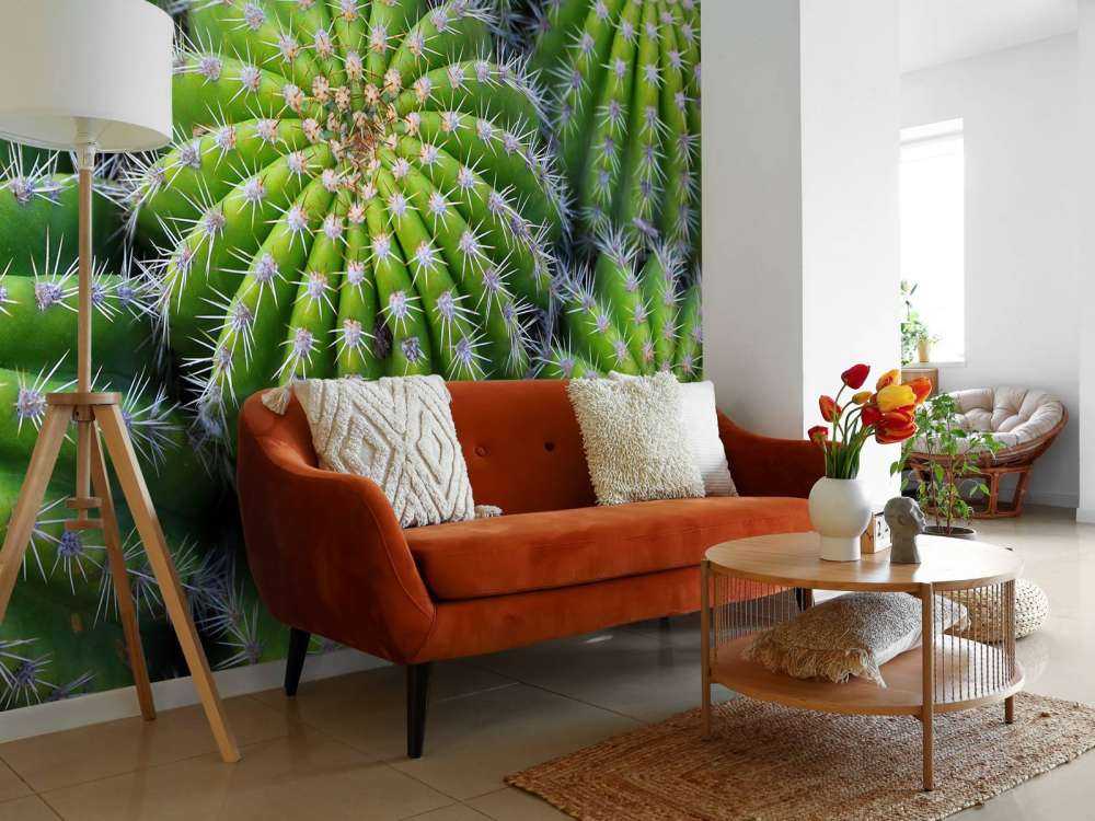 Cactussen
