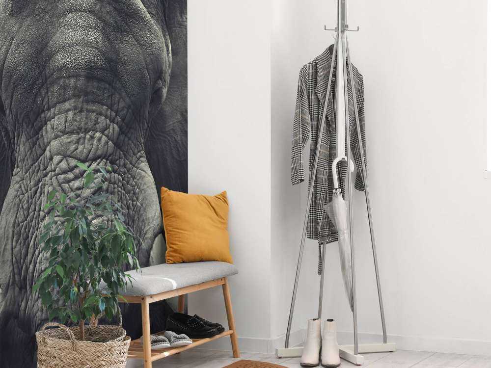 Close-up van een olifant