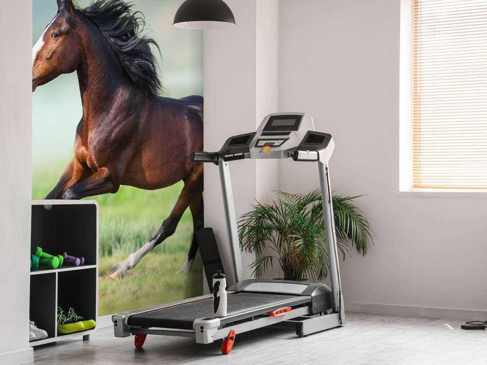 Paard aan het rennen